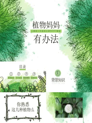 植物妈妈有办法PPT课件2