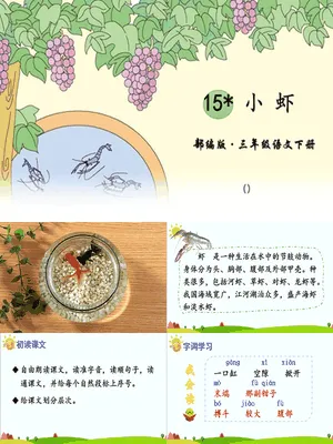 小虾PPT课件8