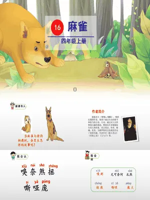 麻雀PPT课件7