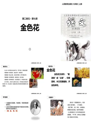 金色花PPT课件7