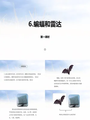 蝙蝠与雷达PPT课件2