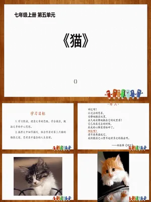 《猫》PPT课件6