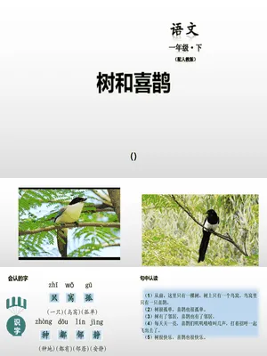 树和喜鹊PPT课件7