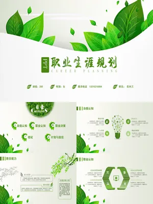 P57128大学生职业发展指南PPT课件
