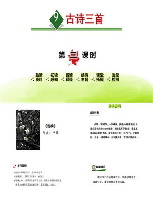 雪梅PPT课件3