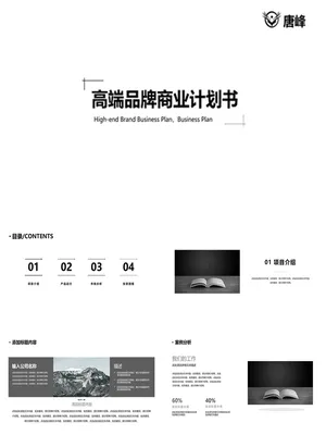 SY00028商业计划书设计
