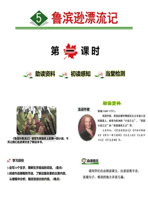 鲁滨逊漂流记PPT课件7