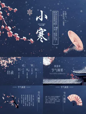 JR0346小寒节气夜雪梅花