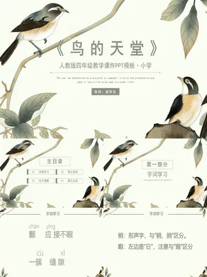 鸟的天堂PPT课件2
