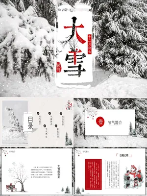 JR0363大雪节气雪林墨韵