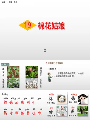 棉花姑娘PPT课件7