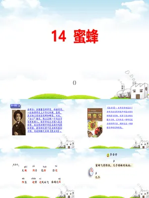 蜜蜂PPT课件6