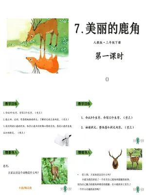 美丽的鹿角PPT课件3