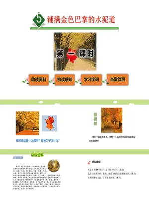 铺满金色巴掌的水泥道PPT课件3