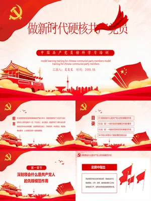 做新时代硬核共产党员