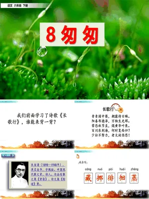 匆匆PPT课件8