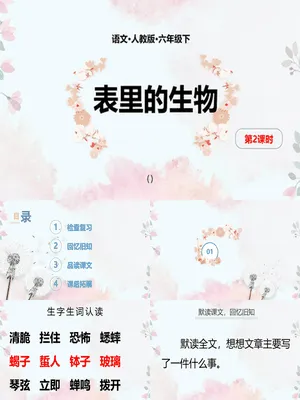表里的生物PPT课件2