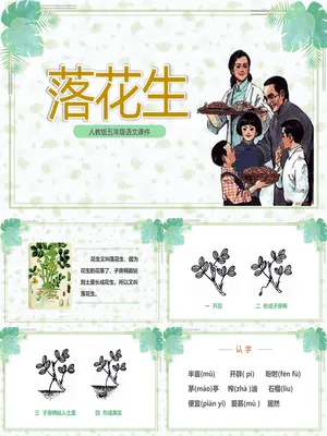 落花生PPT课件3