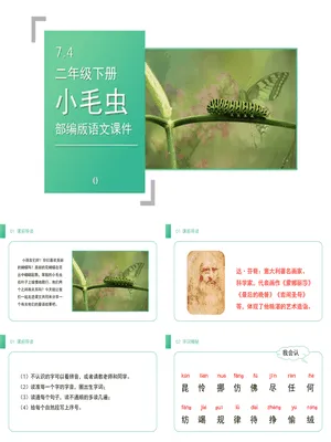 小毛虫PPT课件2