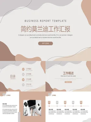 简约莫兰迪色工作总结
