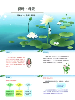 荷花母亲PPT课件3