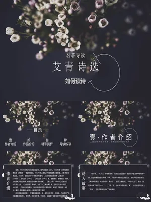 《艾青诗选》如何读诗PPT课件2