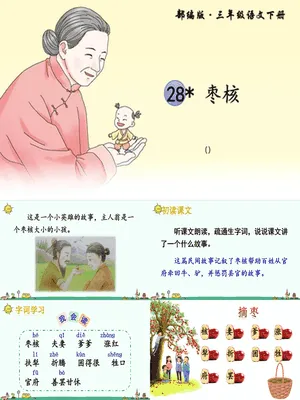 枣核PPT课件7