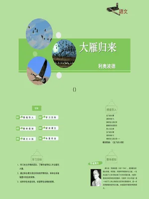 大雁归来PPT课件1