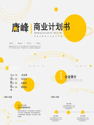 SY00023商业计划书PPT范文精选