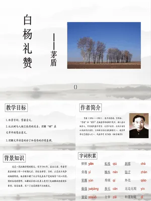 白杨礼赞PPT课件1