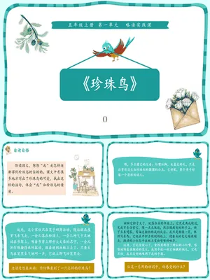 珍珠鸟PPT课件3
