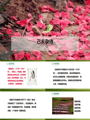 己亥杂诗（其五）PPT课件3