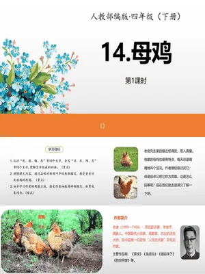 母鸡PPT课件4