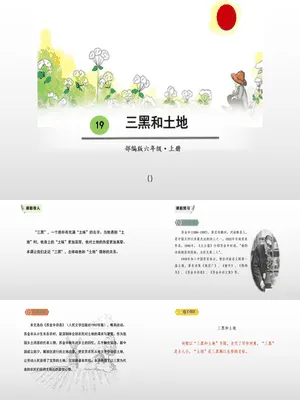 三黑和土地PPT课件1