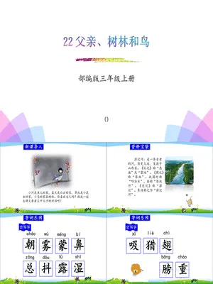 父亲树林和鸟PPT课件2