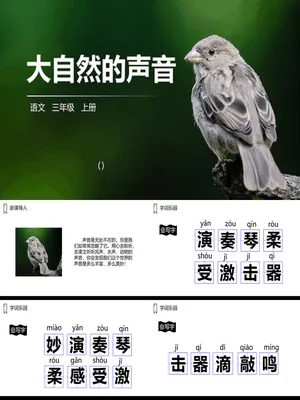 大自然的声音PPT课件2