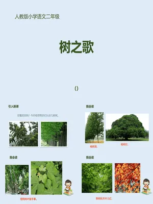 树之歌PPT课件2