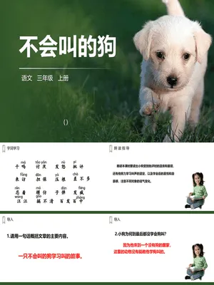 不会叫的狗PPT课件2