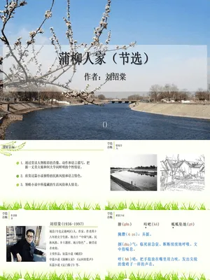 蒲柳人家PPT课件8