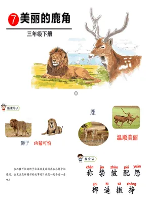 美丽的鹿角PPT课件5