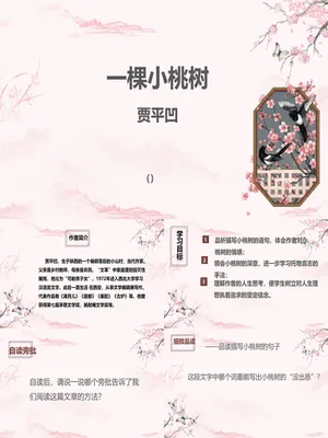 一颗小桃树PPT课件8