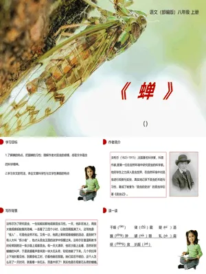 蝉PPT课件6
