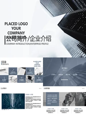 P21274企业简介展示