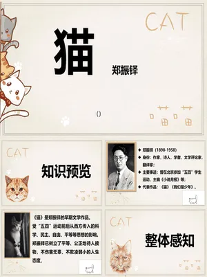 《猫》PPT课件8