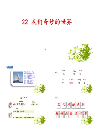 我们奇妙的世界PPT课件7