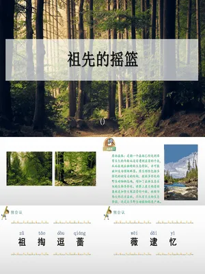 祖先的摇篮PPT课件1