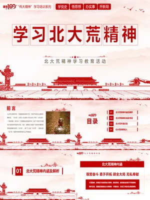 学习北大荒精神
