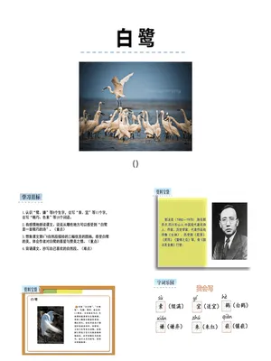 白鹭PPT课件2
