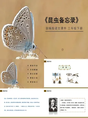 昆虫备忘录PPT课件7