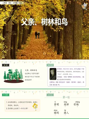 父亲树林和鸟PPT课件4